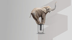  elephant on top of a friction drill hole - fliessbohren - vloeiboren - fluoperçage